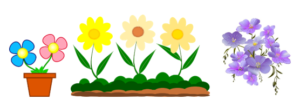 Newsletter March 2023